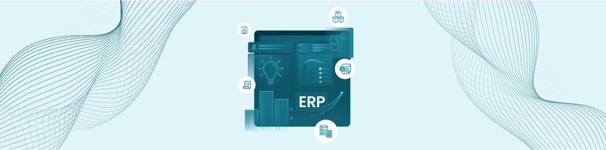 My Thoughts on the State of ERP Testing