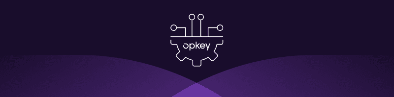 Rewriting the Redwood Roadmap: How TekSpark Tightened Timelines with Opkey&rsquo;s Automation